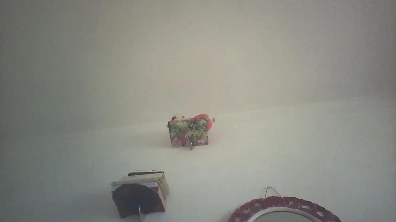 geishaguerrier5 on Cam4