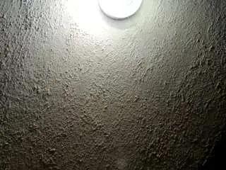 palelaram — palelaram chat